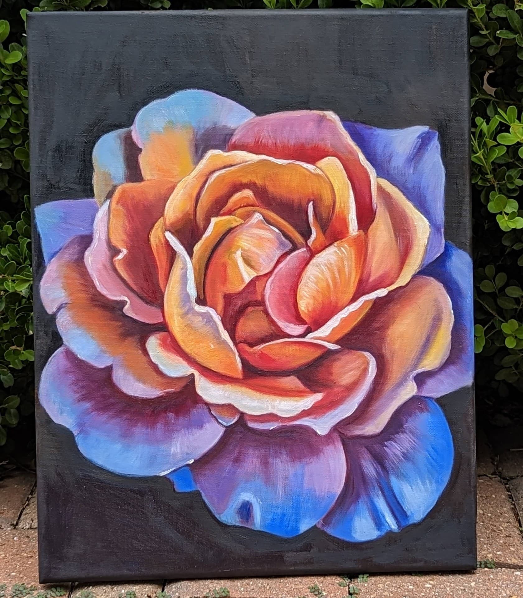 Colorful rose oil painting by Iwona Staszewski