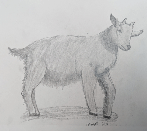 Art Adventure Studio project example 24