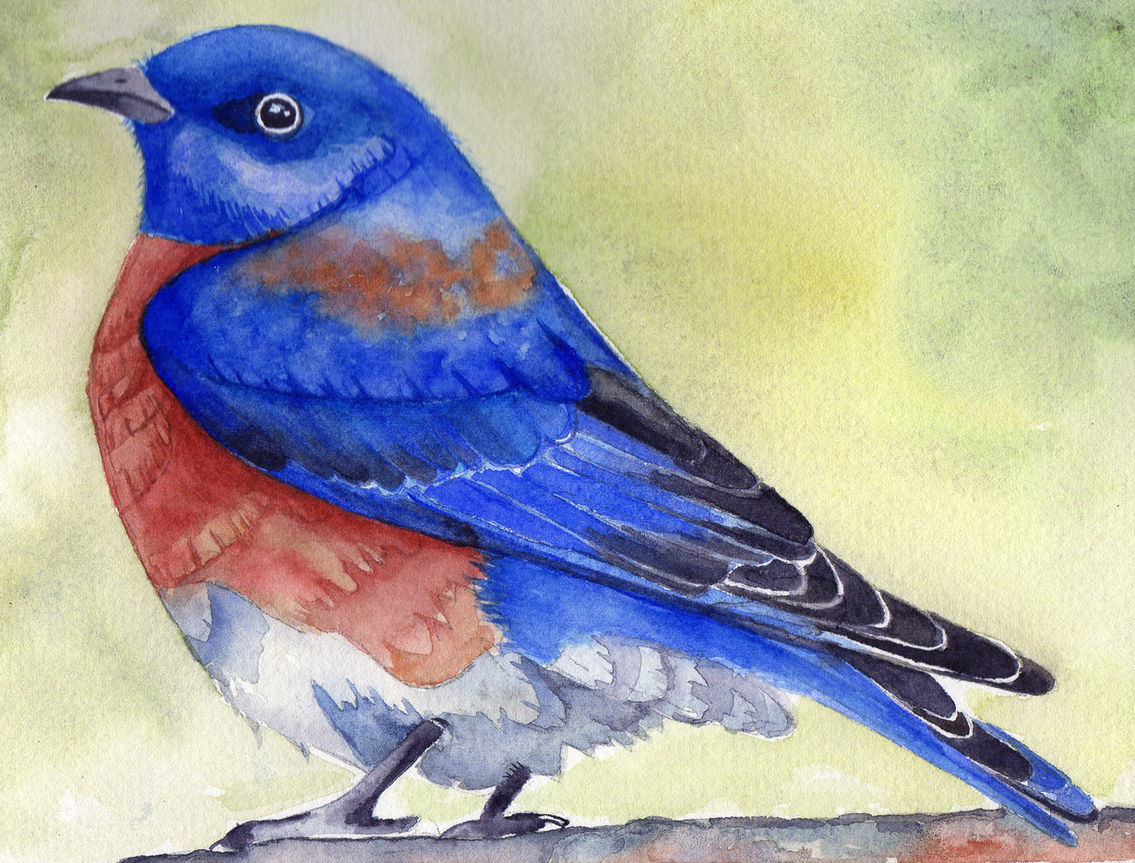Blue bird watercolor painting